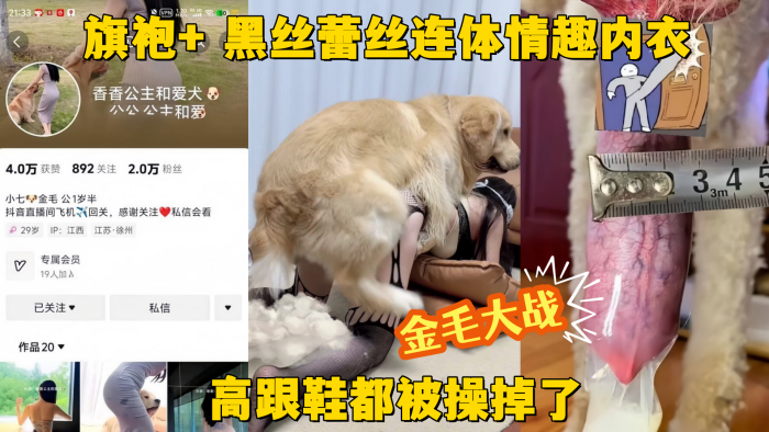 金毛大战抖音网红贱狗香香公主旗的袍黑丝蕾丝连体情趣内衣金毛大战高跟鞋都被操掉了